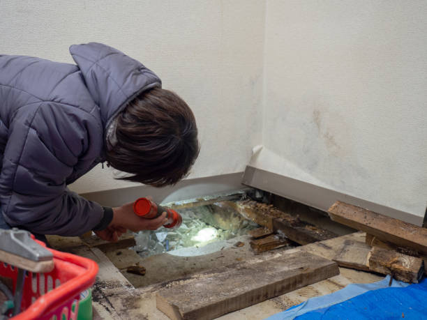 Best Air Quality Testing for Mold Spores  in Panther Valley, NJ