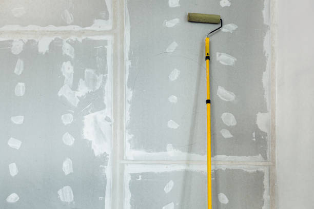 Best Mold Damage Restoration  in Panther Valley, NJ