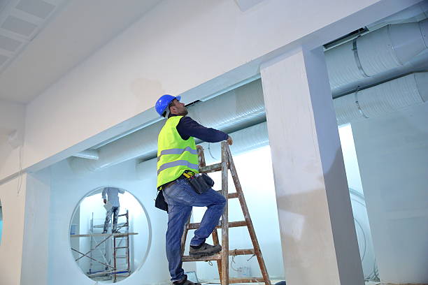 Best Post-Construction Mold Inspection  in Panther Valley, NJ